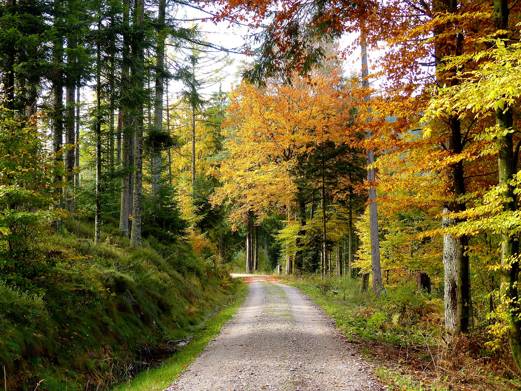 Panoramastraße im Schwarzwald