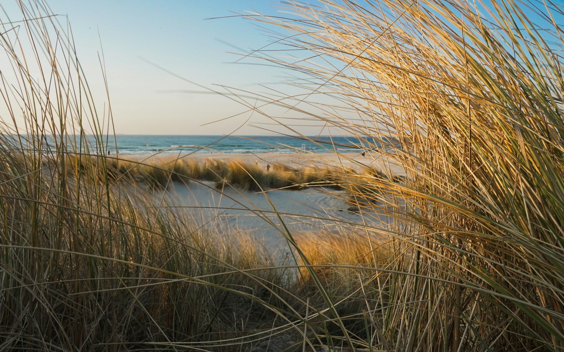 Ostsee-Geheimtipps: ruhige Strände mit Auto-Plan