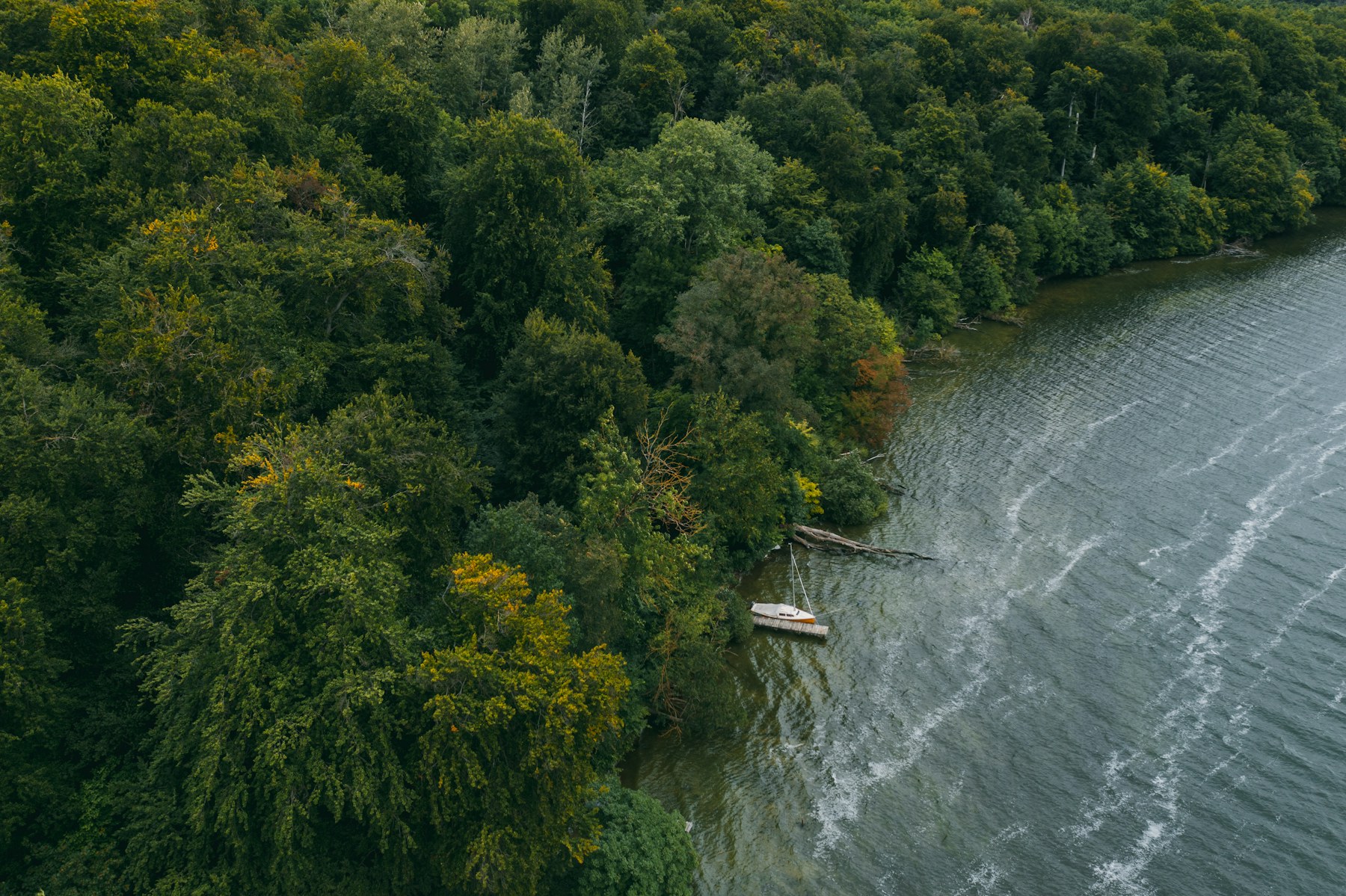 Bodensee mit dem Auto: Rundfahrt, Fähren und Ausflugsziele