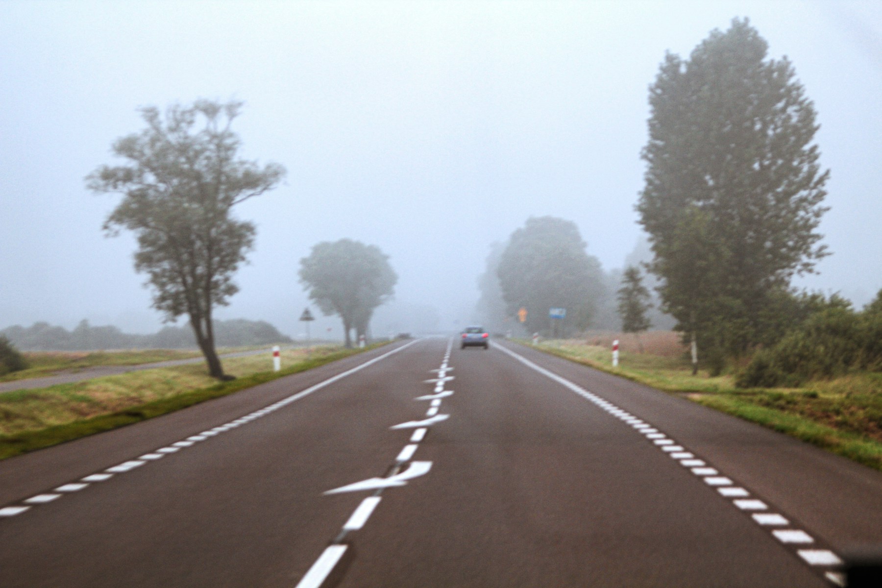 Auto auf einer schattigen Landstraße