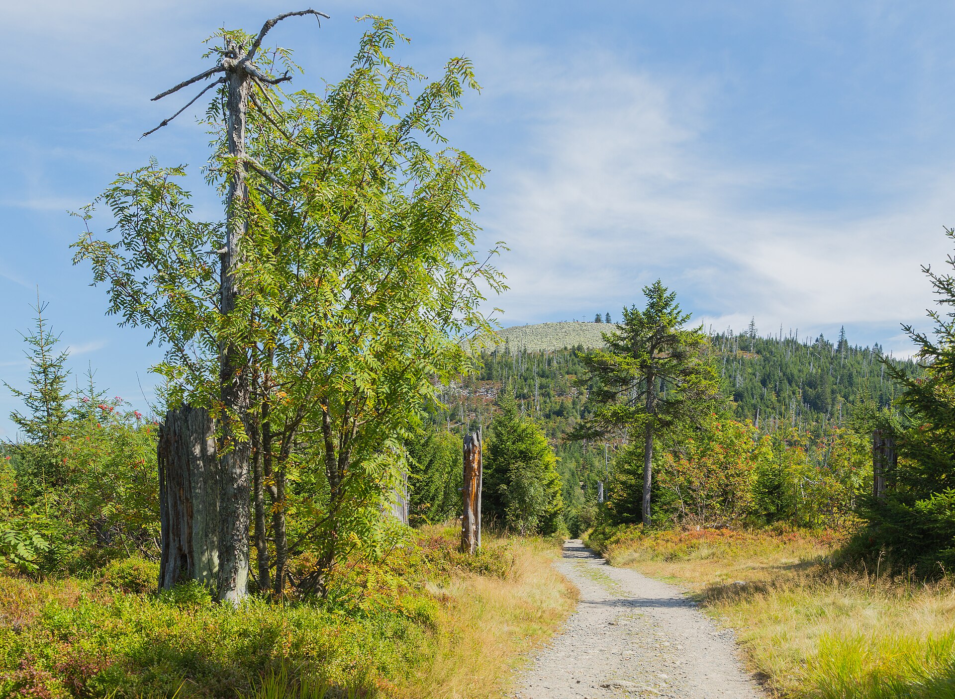 Bayerischer Wald: Ausflugsziele und Wanderungen