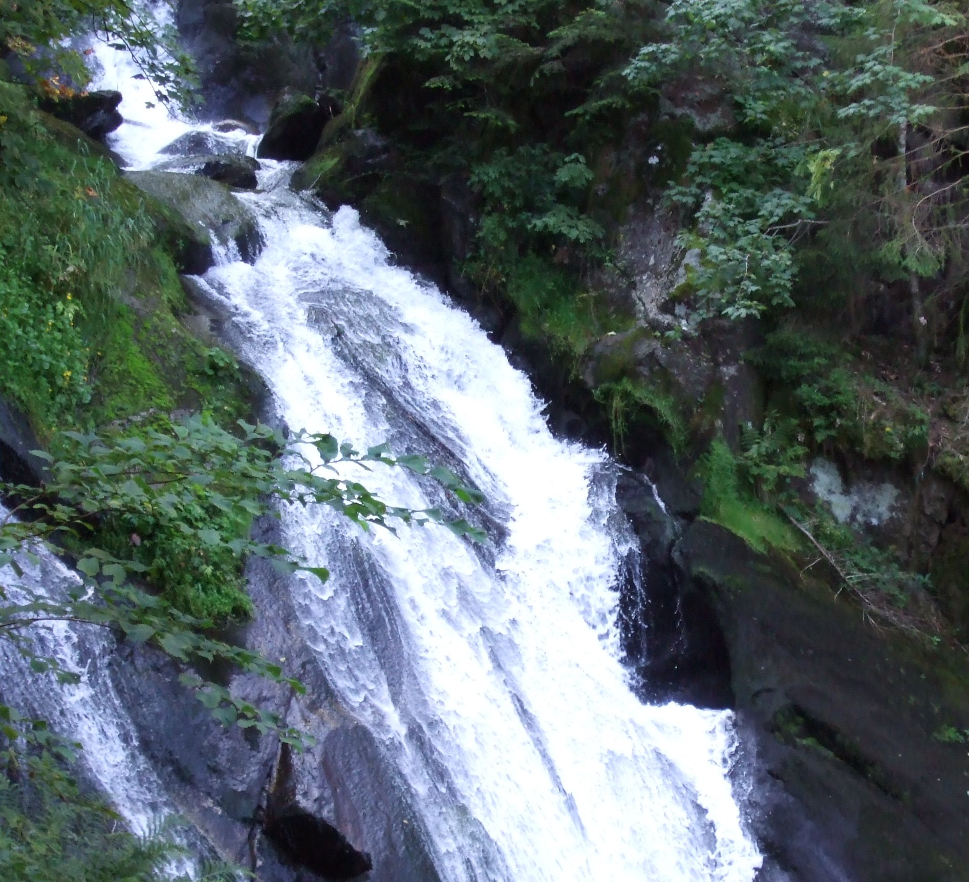 Schwarzwald Ausflugsziele: 15 schöne Orte und Tipps