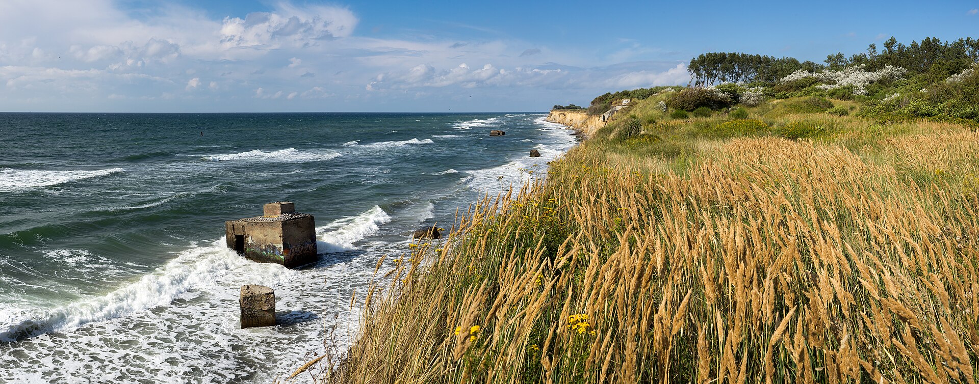 Coast of the Baltic Sea between Ahrenshoop and Wustrow, Fischland , Mecklenburg-Western Pomerania, Germany