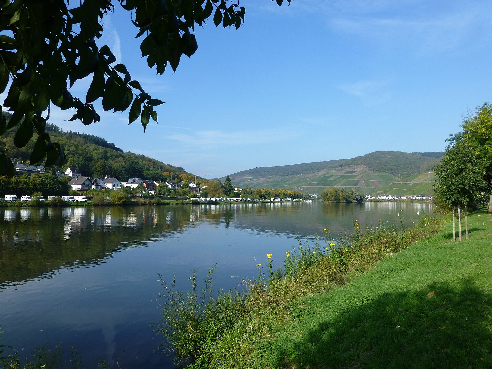 Zell /Mosel – Blick zur linken Moselseite zum Ortsteil Zell-Kaimt , am Moselufer der Wohnmobilstellplatz
