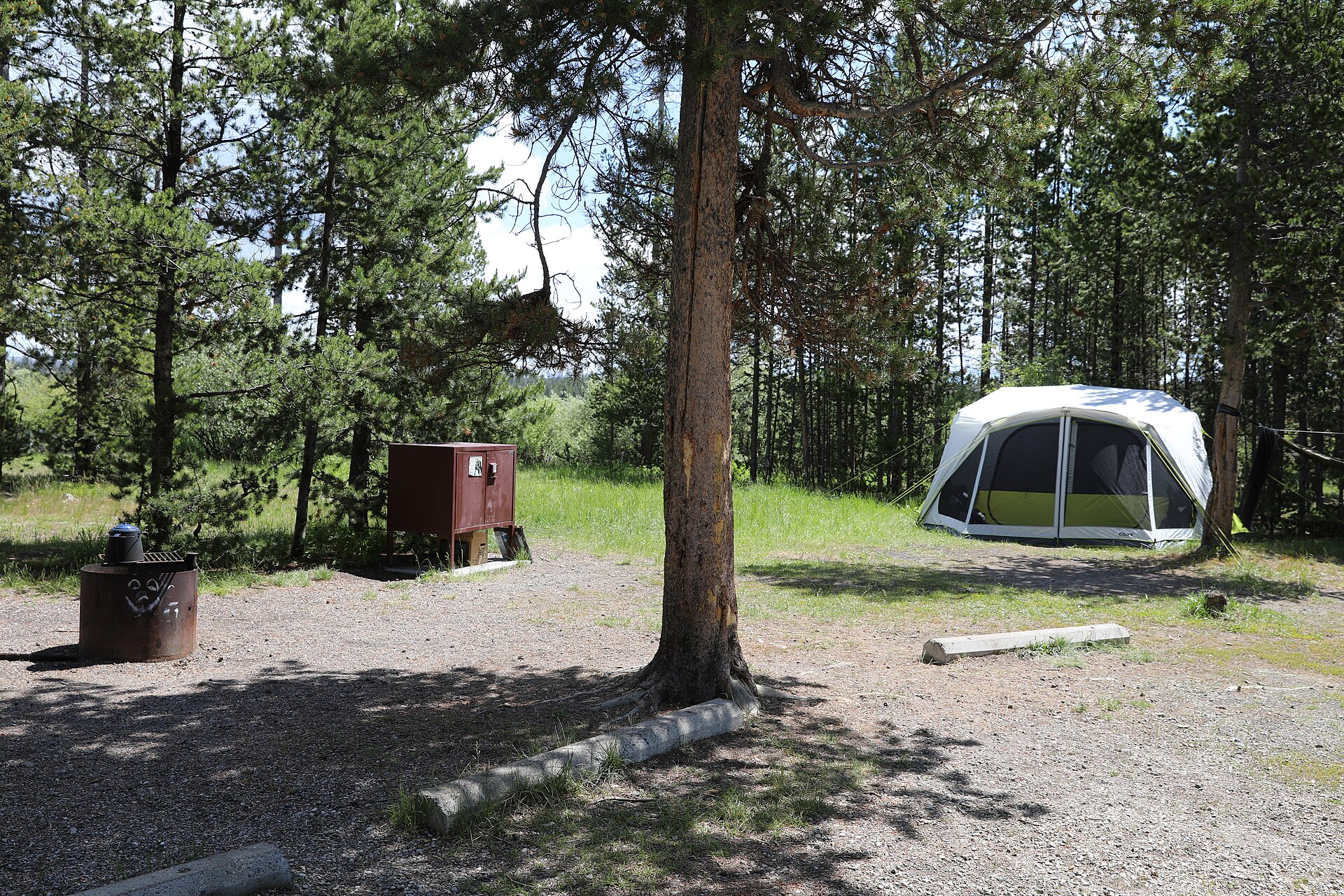 A tent, bear food box and campfire ring in a campsite in the Bakers Hole Campground on the Custer Gallatin National Forest