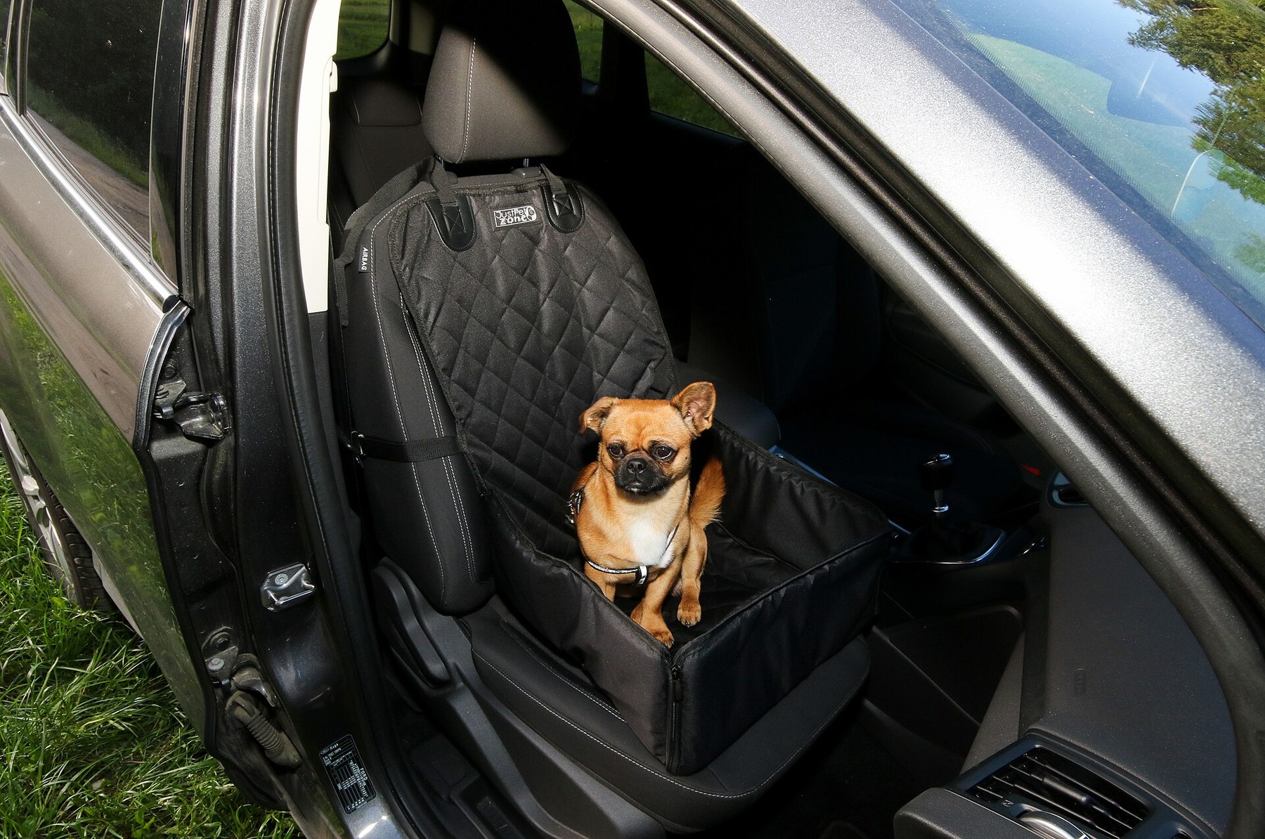 Hund im Auto sichern: Box, Gurt oder Gitter?