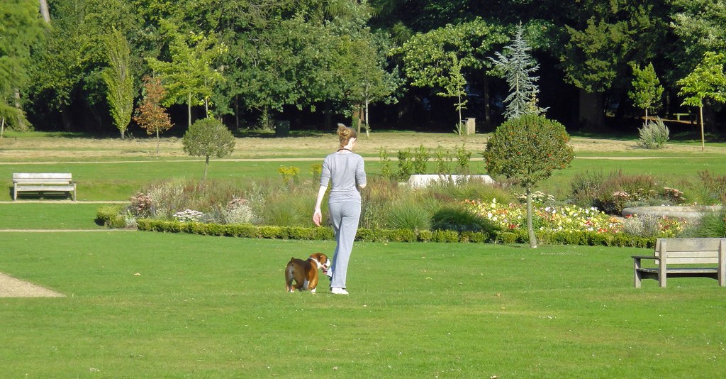 Spaziergang mit Hund während einer Reisepause