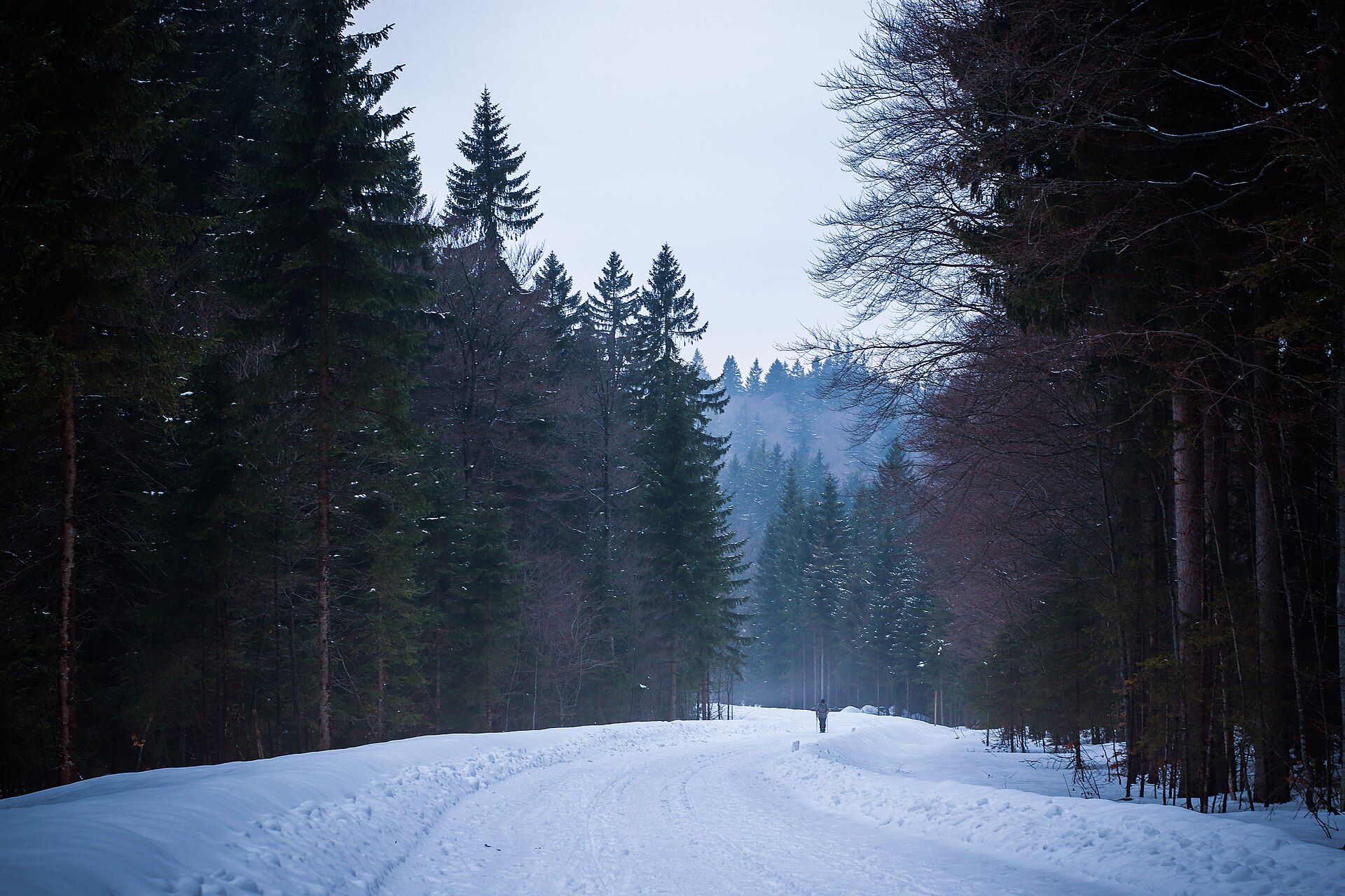 Nationalpark Bayerischer Wald