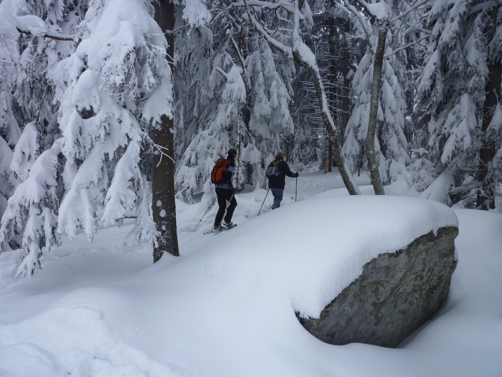 Schneeschuh-Wanderer im tiefverschneiten Wald der Käsplatte, Gemeinde St