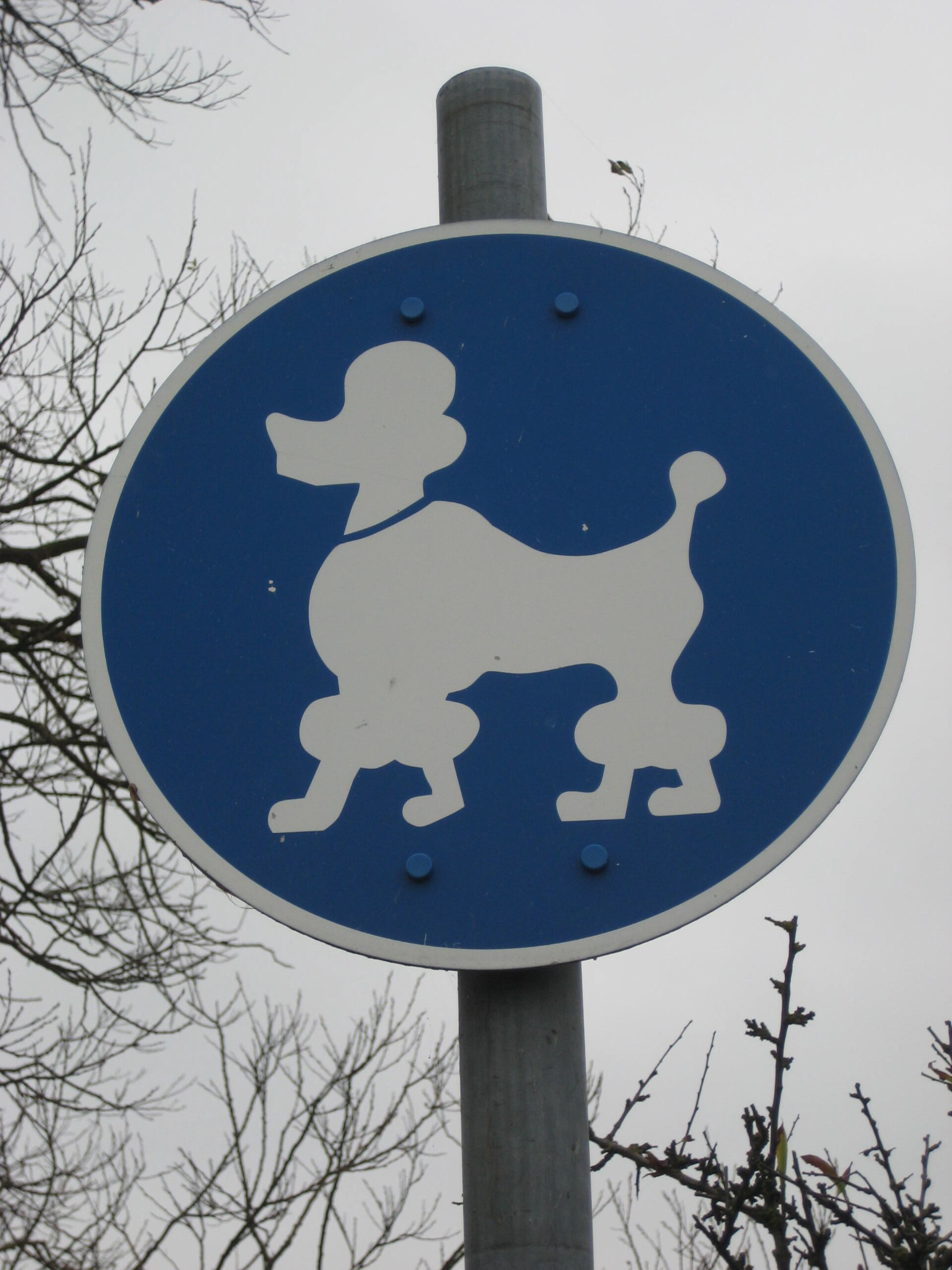 Schild in Kellenhusen am Zugang zum Hundestrand