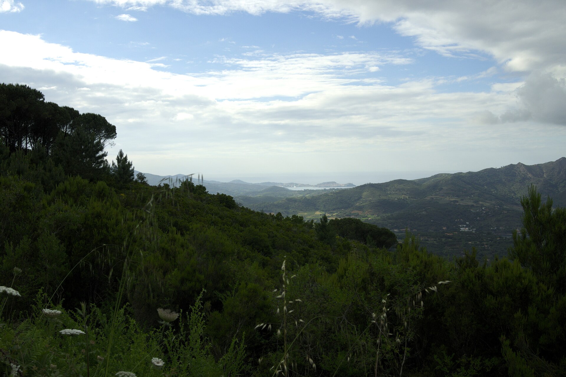 500px provided description: P3670067 1 Jpg [#trees ,#sunset ,#mountains ,#nature ,#beach ,#island ,#night ,#clouds ,#italy ,#summer ,#golden ,#romantic ,#h