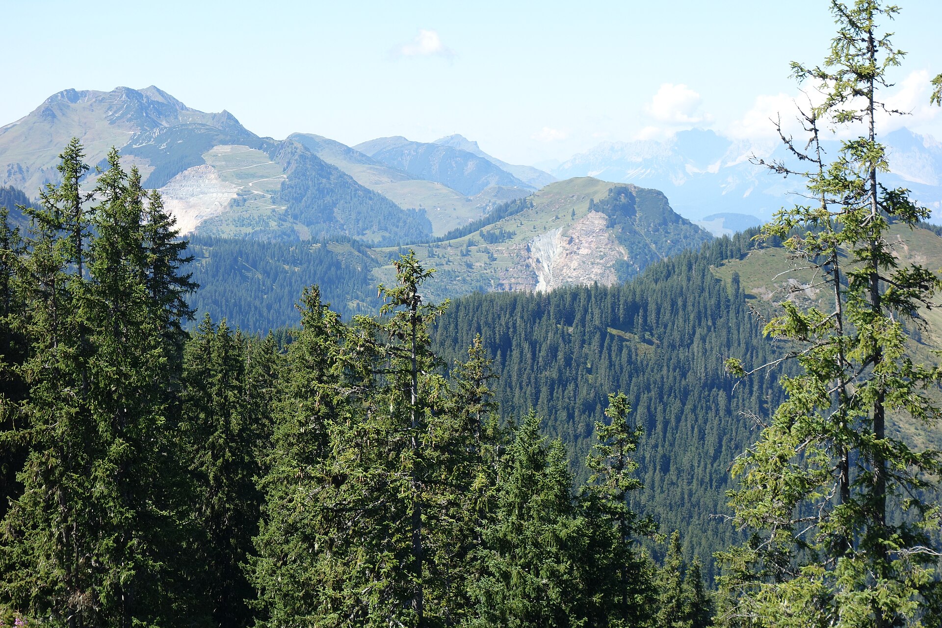 Der Kohlmaiskopf ist ein Berggipfel (1 794 m ü. A.) im nördlichen Bereich der Grauwackenzone im Pinzgau. Der Gipfel befindet sich im Norden von Saalba